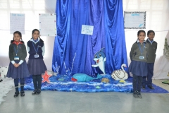 exhibition-13