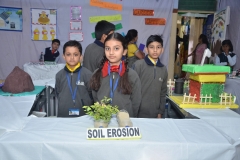 exhibition-6