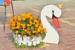 exhibition